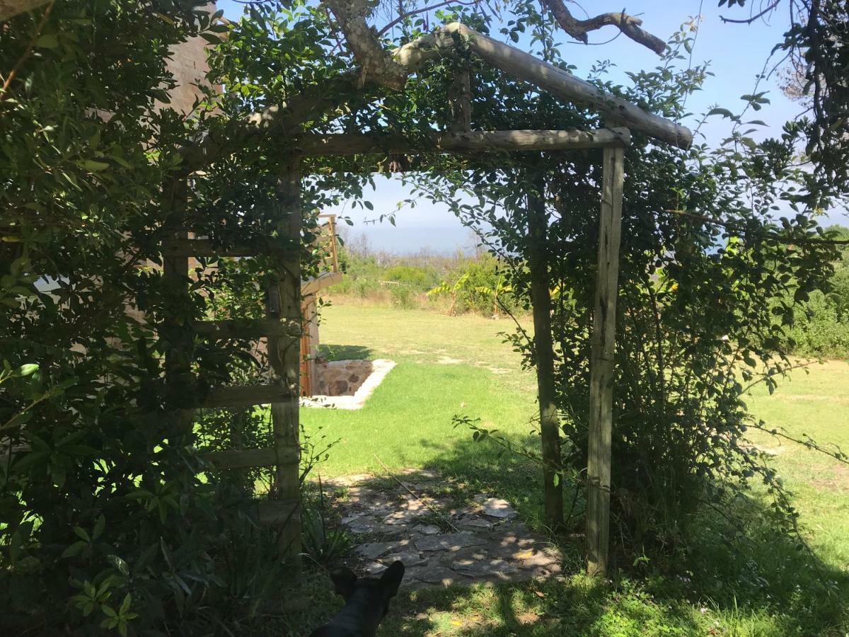 Trinity Farm Ocean View * Plettenberg Bay